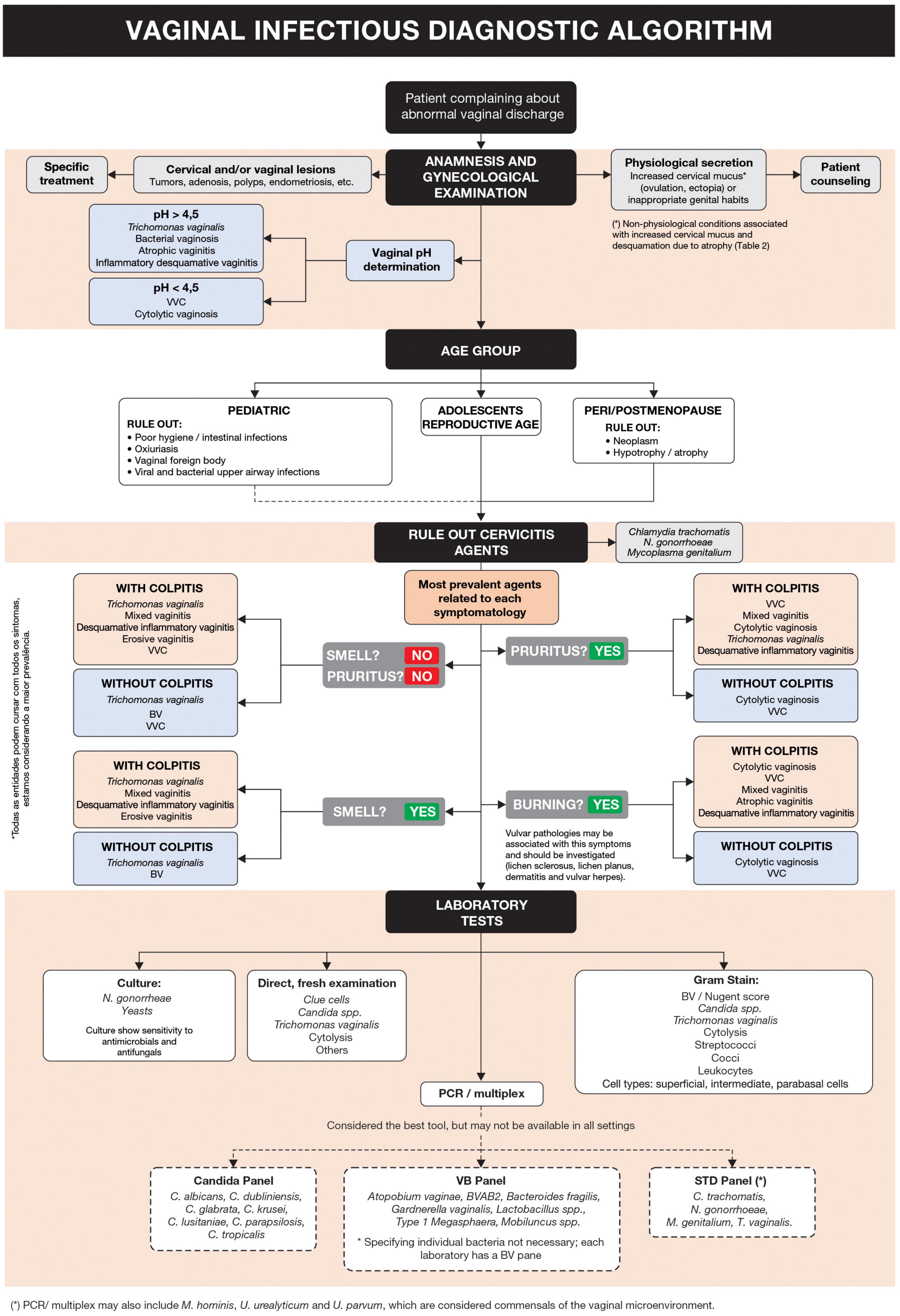 Frontiers Diagnosis and treatment of infectious vaginitis